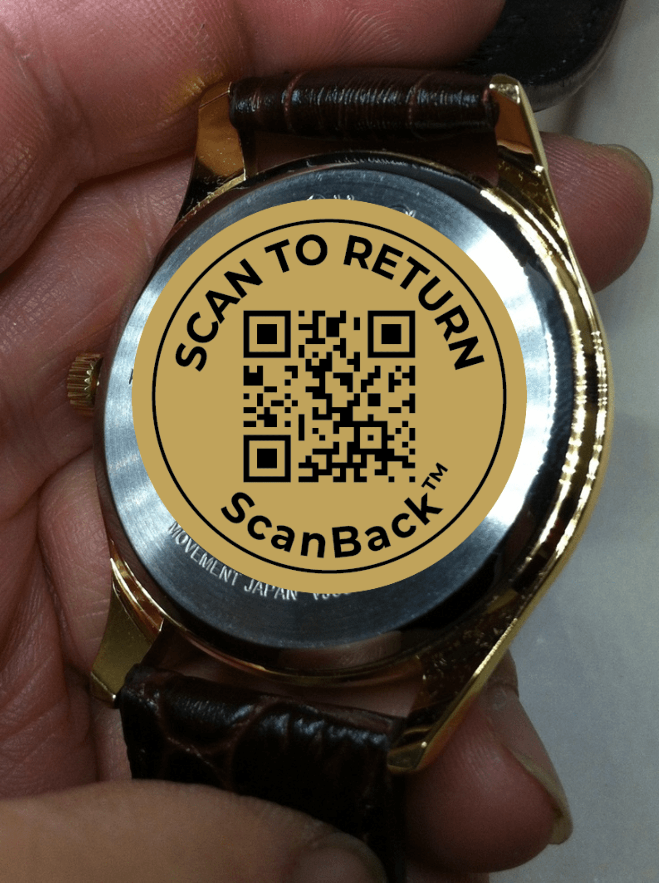 ScanBack Product